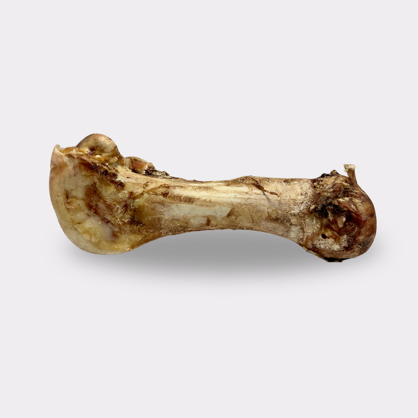Ostrich Bone - pure puppydog treats