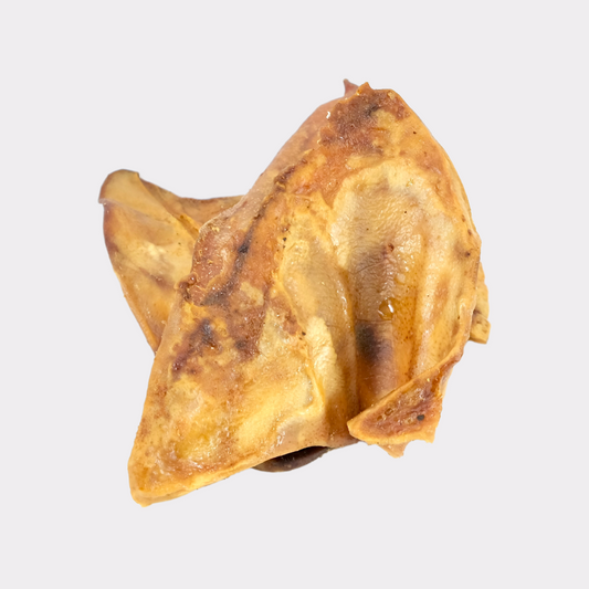 Grade A Pig Ear - pure puppydog treats