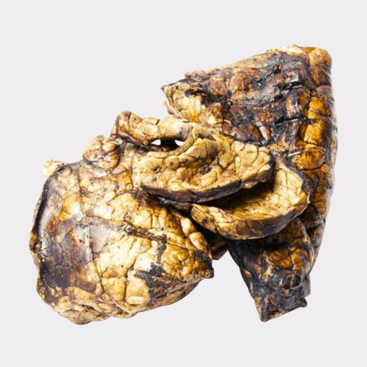 Uk puffed jerky - pure puppydog treats