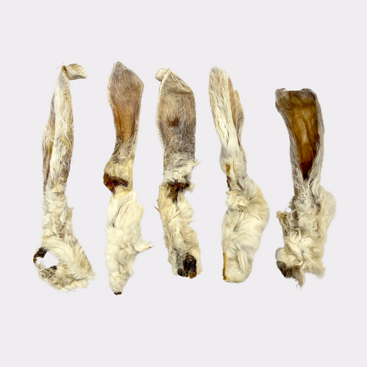 Rabbit ear - pure puppydog treats