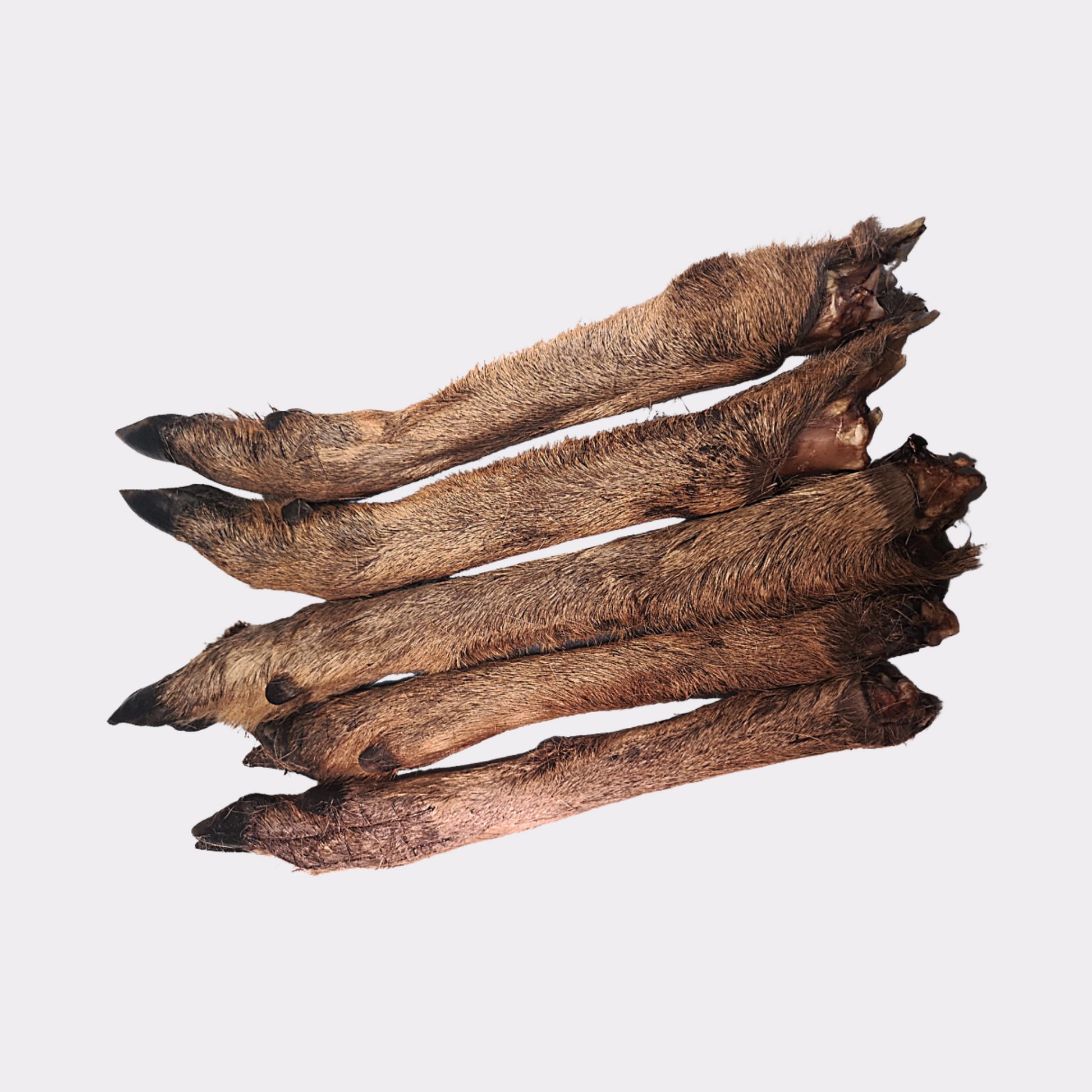 Hairy venison leg - pure puppydog treats