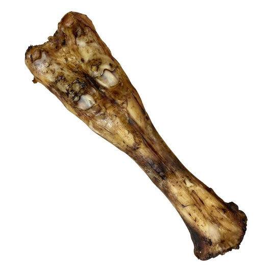 Beef leg bone - pure puppydog treats