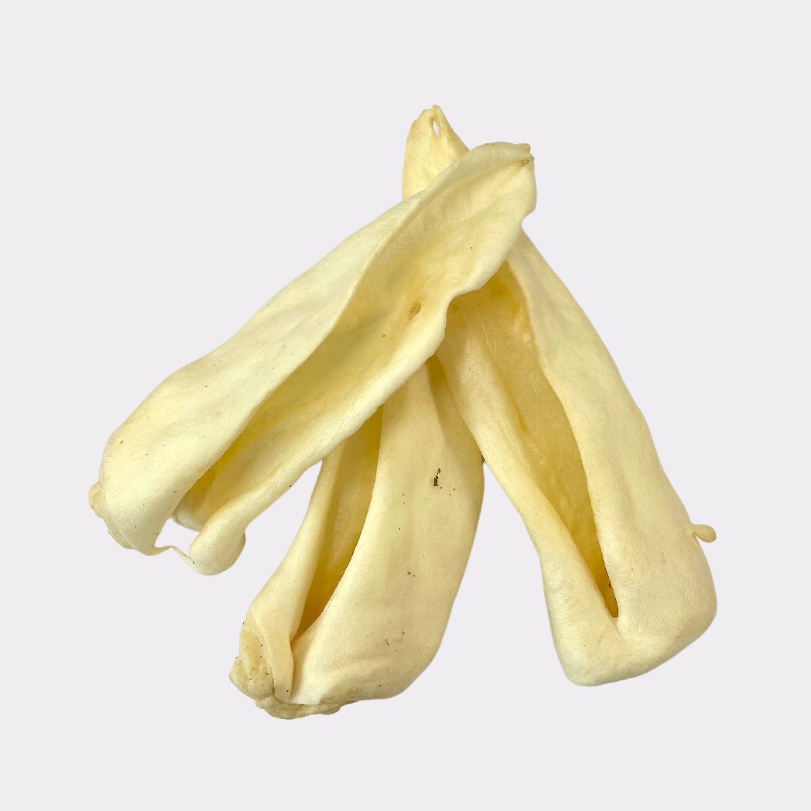 Goat ear - pure puppydog treats